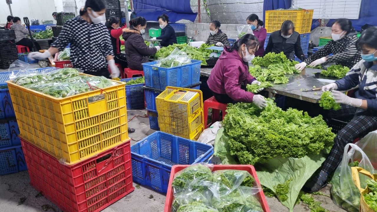 Kiểm soát nguồn thực phẩm rõ ràng đảm bảo an toàn